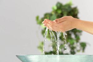 コラーゲン育毛という育毛方法を試せる